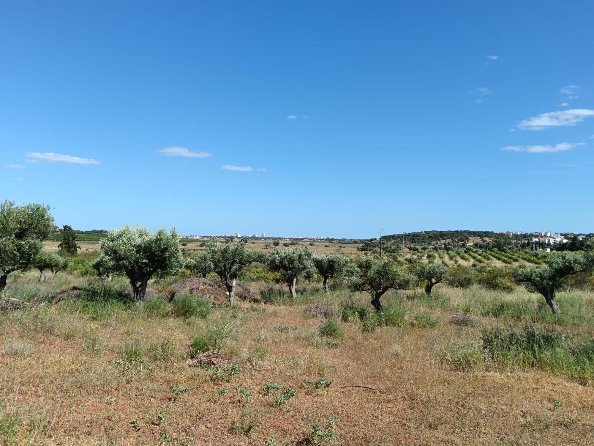 Vila Quinta Da Fornalha - Santuario Agroecologico Castro Marim Exteriér fotografie