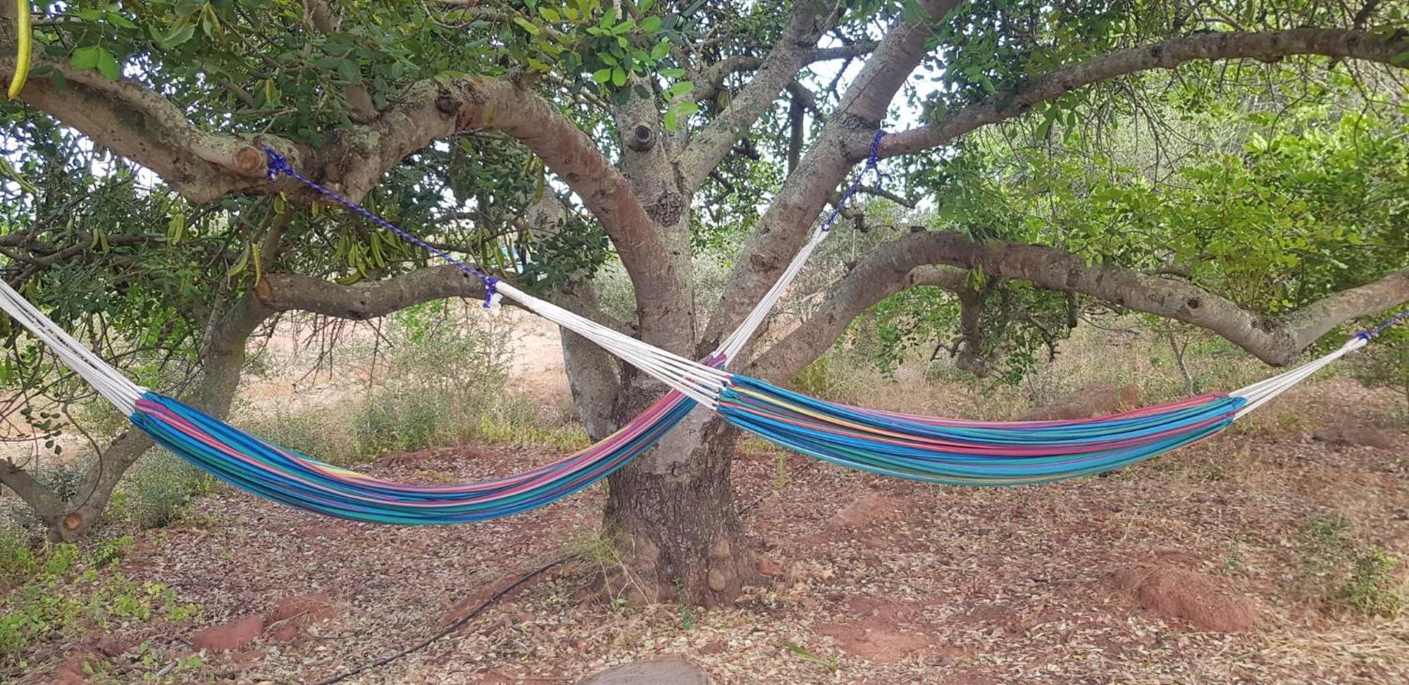 Vila Quinta Da Fornalha - Santuario Agroecologico Castro Marim Exteriér fotografie